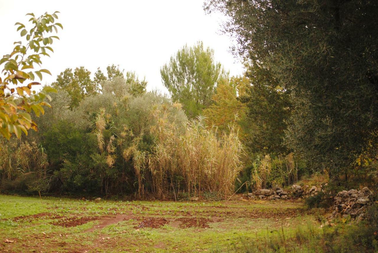 Il Giardino Di Viola Bed and Breakfast Ceglie Messapica Eksteriør billede