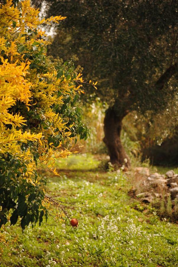 Il Giardino Di Viola Bed and Breakfast Ceglie Messapica Eksteriør billede