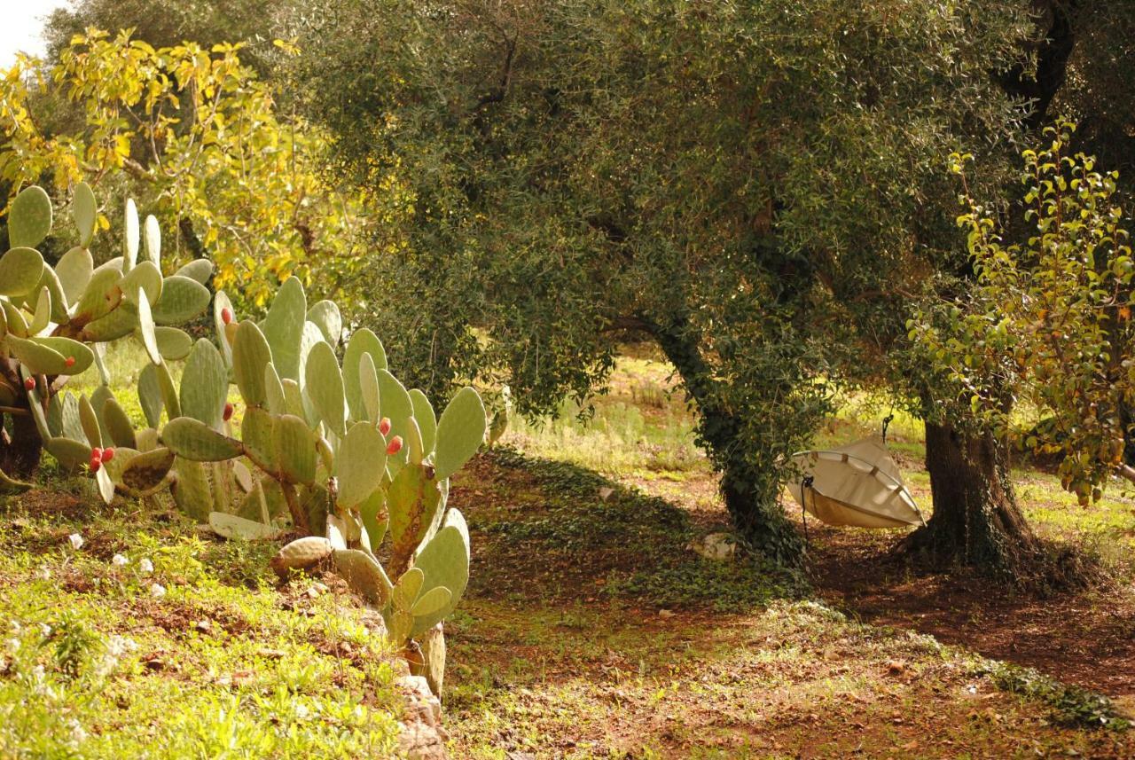 Il Giardino Di Viola Bed and Breakfast Ceglie Messapica Eksteriør billede