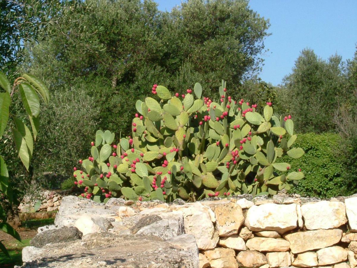 Il Giardino Di Viola Bed and Breakfast Ceglie Messapica Eksteriør billede