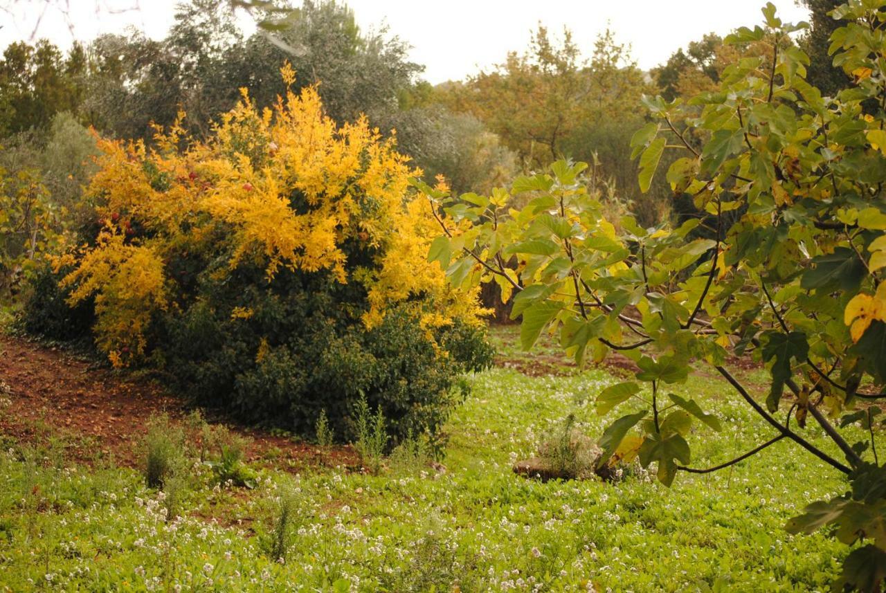 Il Giardino Di Viola Bed and Breakfast Ceglie Messapica Eksteriør billede