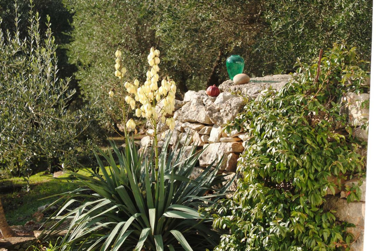 Il Giardino Di Viola Bed and Breakfast Ceglie Messapica Eksteriør billede