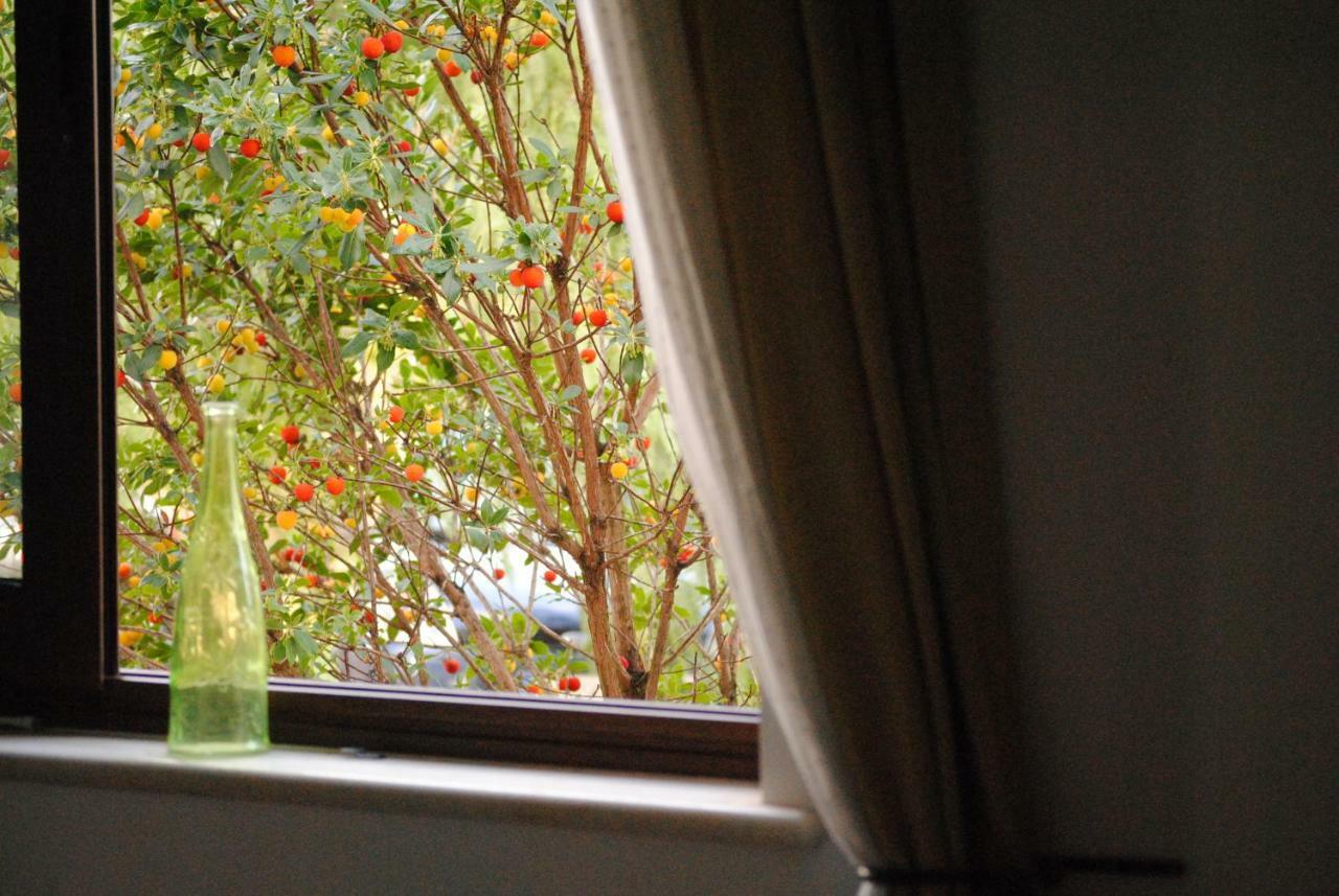 Il Giardino Di Viola Bed and Breakfast Ceglie Messapica Eksteriør billede
