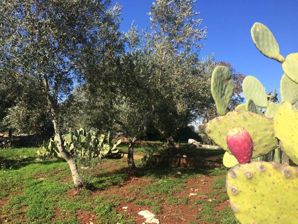 Il Giardino Di Viola Bed and Breakfast Ceglie Messapica Eksteriør billede
