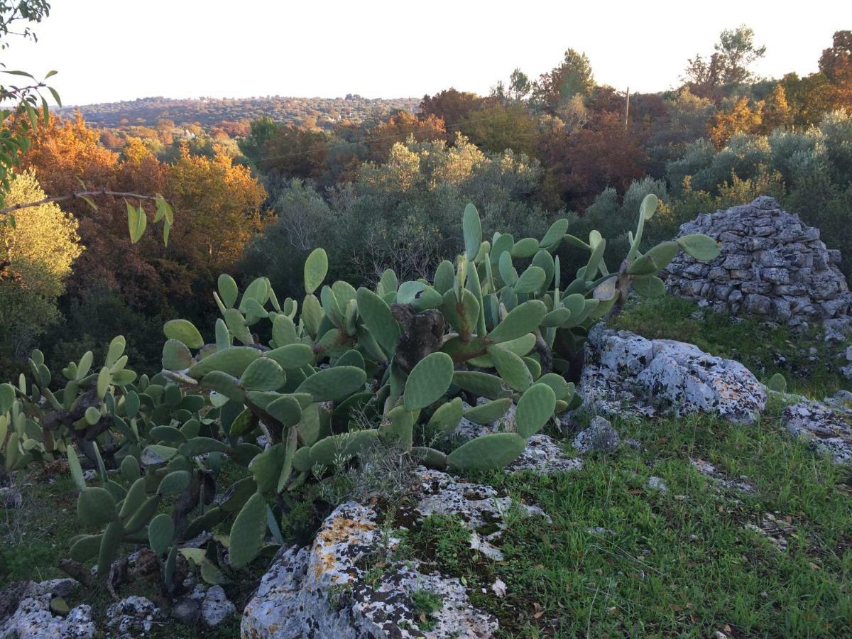 Il Giardino Di Viola Bed and Breakfast Ceglie Messapica Eksteriør billede