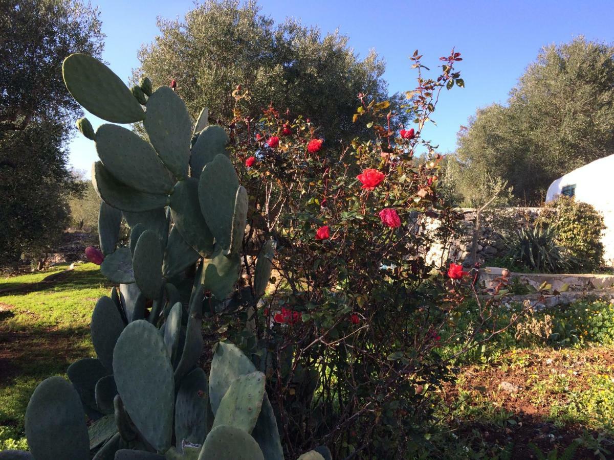 Il Giardino Di Viola Bed and Breakfast Ceglie Messapica Eksteriør billede